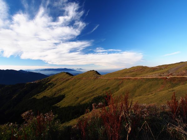 201211 台灣合歡山